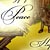 photos-11.jpg